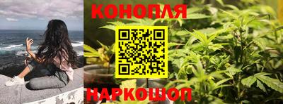 spice Донецк