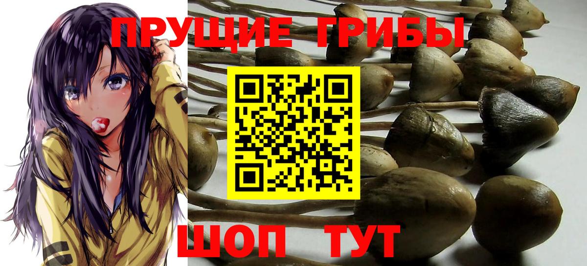Междуреченск  Псилоцибиновые грибы мухоморы  Вход с VPN 