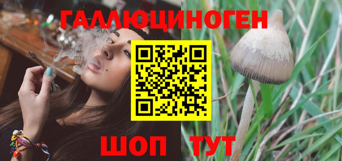 Псилоцибиновые грибы мухоморы Междуреченск